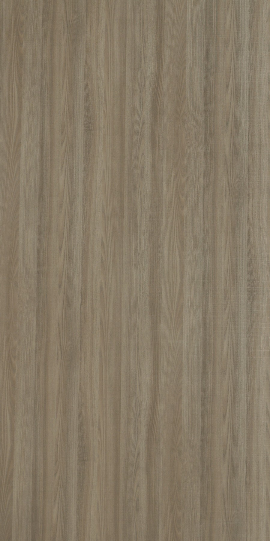 5312 Cured Ash MFC Laminate with Matt Finish Online in India Greenlam