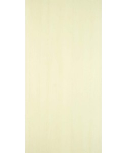 5 St/ück 30-40cm Palm Spear Large Palmenblatt Palmenwedel Palmenzweig Beachbar Deko Beachclub Deko Strandbar Deko Boho Style Gebleicht NaDeco Plamneblatt Speer L/änge ca gro/ß