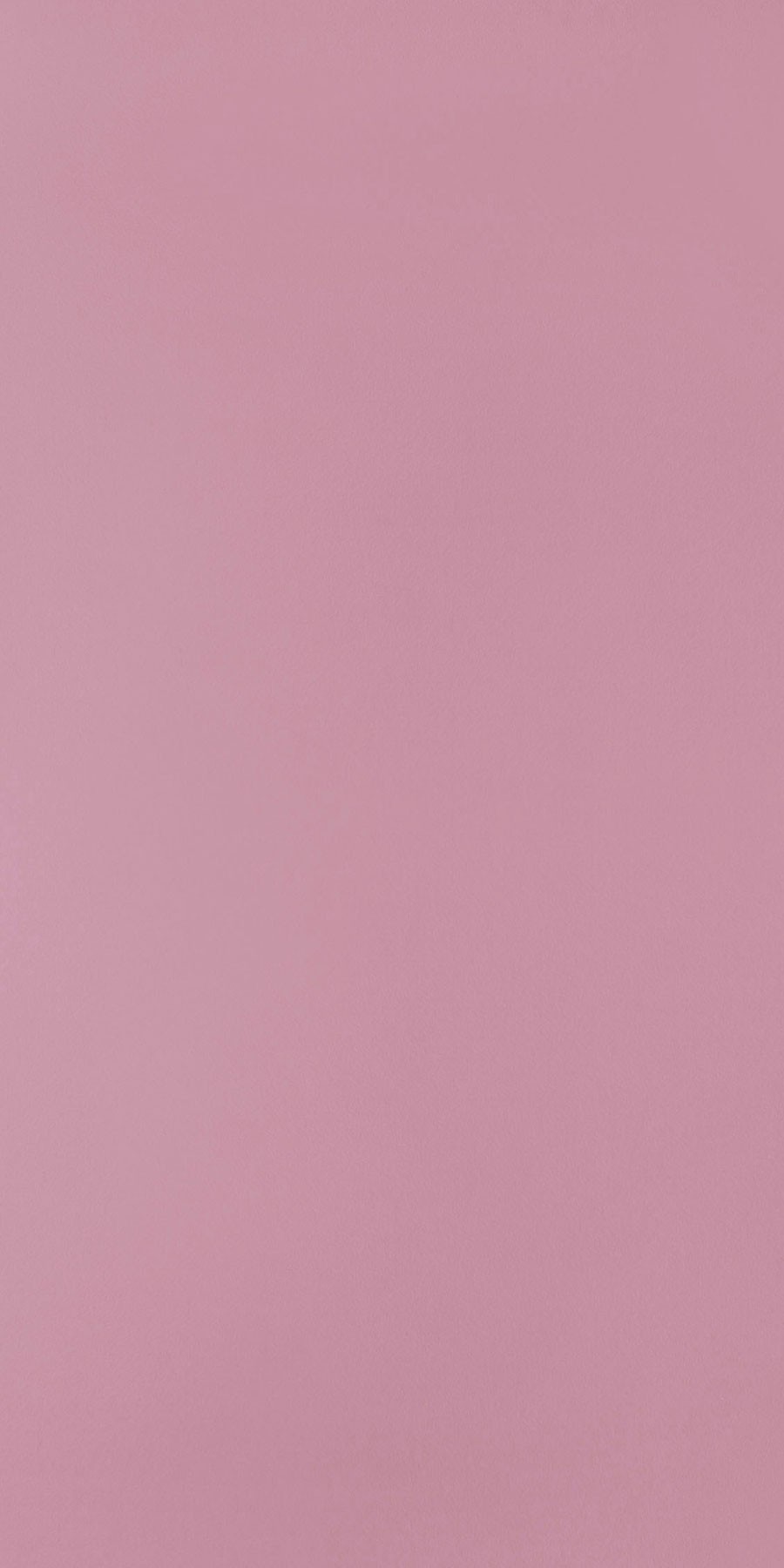 Hot Pink Laminates In Mea Greenlam