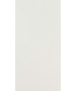 Absolute White