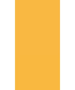 Light Orange