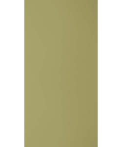 Mud Ash