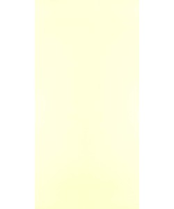 Mysore Ivory