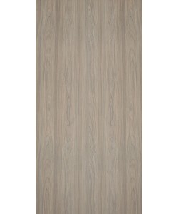 Nevada Elm