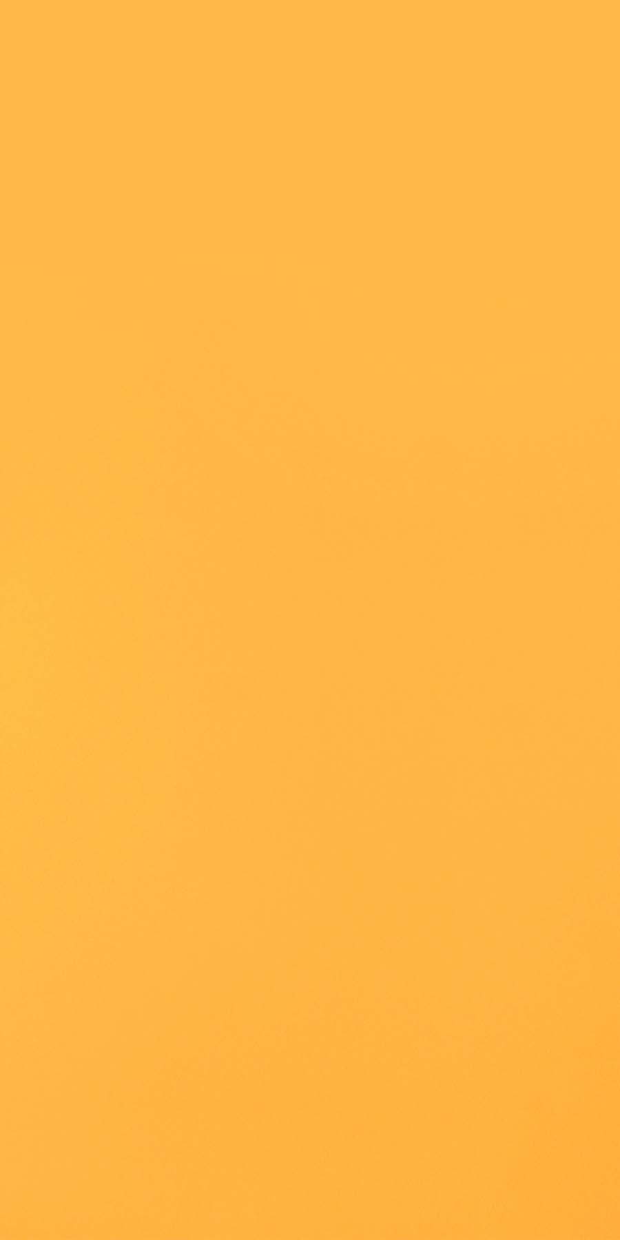 Light Orange Laminates with High Definition Gloss Finish in India Greenlam Laminates