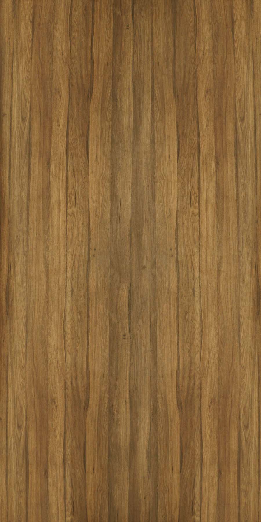 5077 Neoteric Oak HPL with Super Gloss Finish Online in India